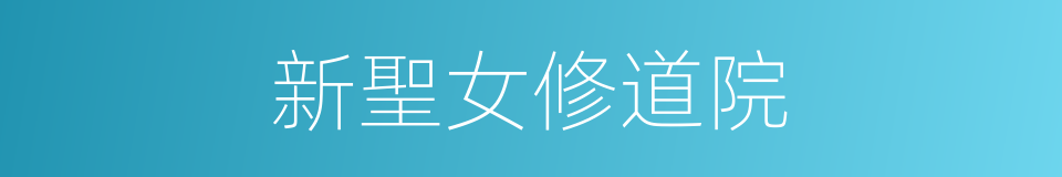 新聖女修道院的同義詞