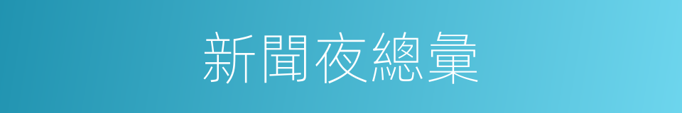 新聞夜總彙的同義詞