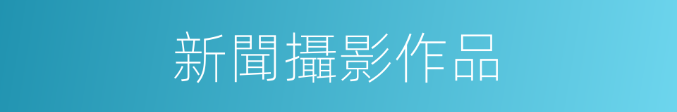 新聞攝影作品的同義詞