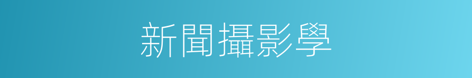 新聞攝影學的同義詞