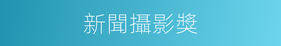 新聞攝影獎的同義詞