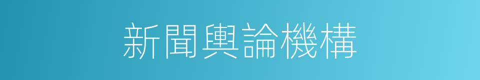 新聞輿論機構的同義詞