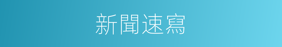 新聞速寫的同義詞