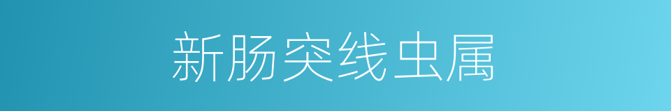 新肠突线虫属的同义词