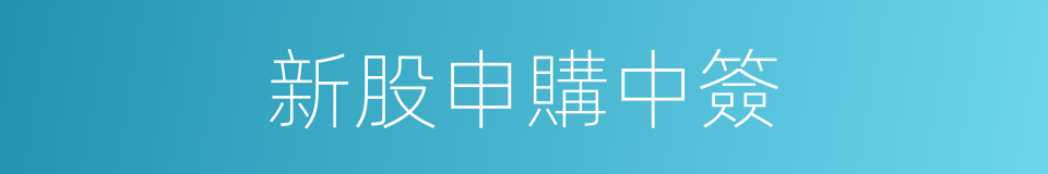 新股申購中簽的同義詞