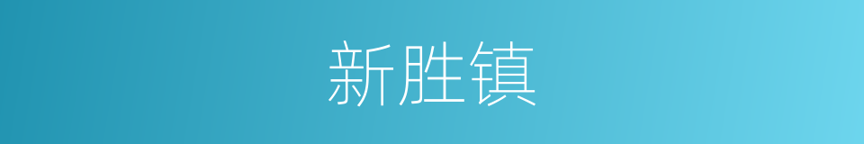 新胜镇的同义词