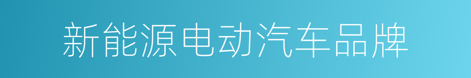 新能源电动汽车品牌的同义词