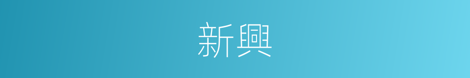 新興的意思