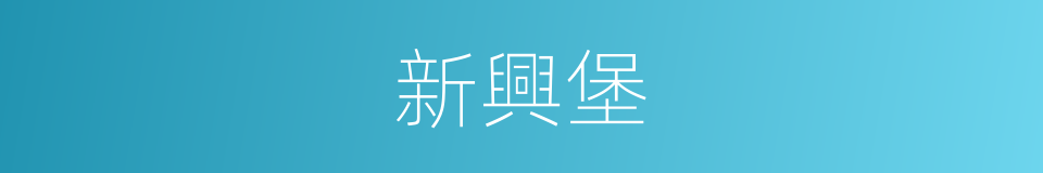 新興堡的同義詞