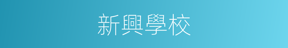 新興學校的同義詞