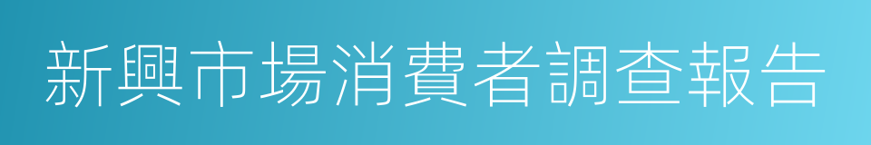 新興市場消費者調查報告的同義詞
