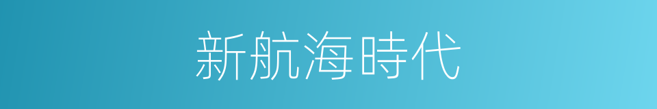 新航海時代的同義詞