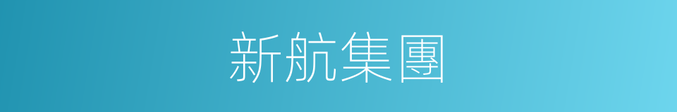 新航集團的同義詞