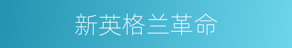 新英格兰革命的同义词
