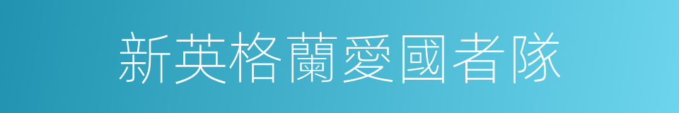 新英格蘭愛國者隊的同義詞