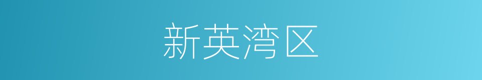 新英湾区的同义词