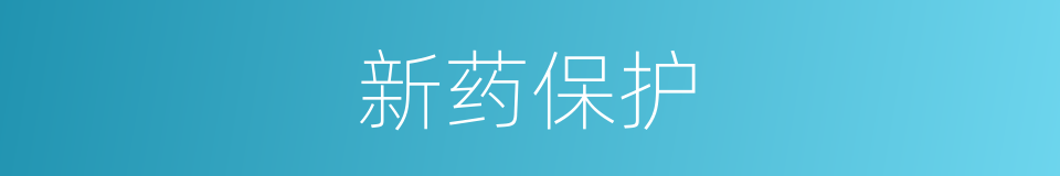 新药保护的同义词