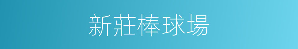 新莊棒球場的同義詞