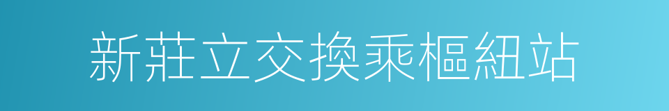 新莊立交換乘樞紐站的同義詞