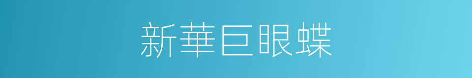 新華巨眼蝶的同義詞