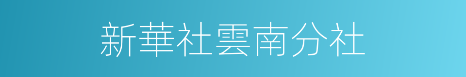 新華社雲南分社的同義詞