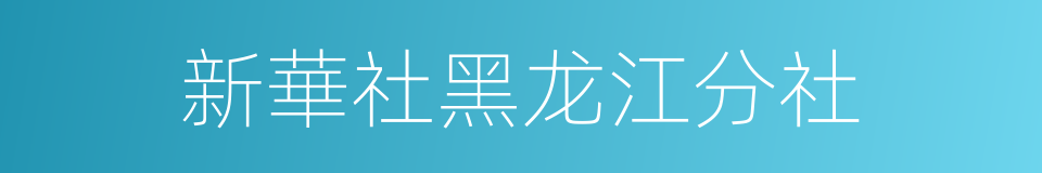 新華社黑龙江分社的同義詞