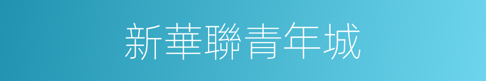 新華聯青年城的同義詞