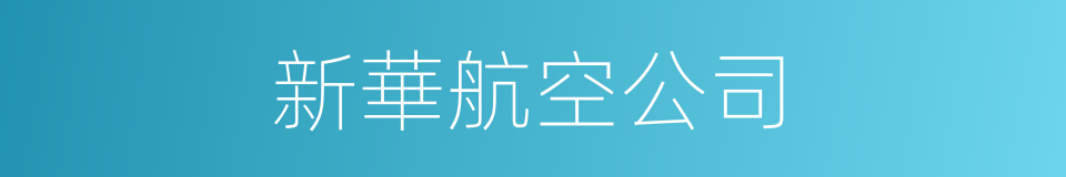 新華航空公司的同義詞