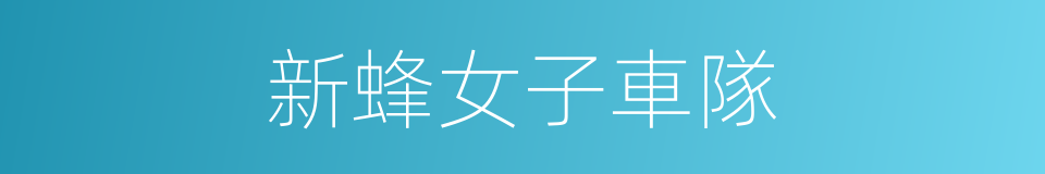 新蜂女子車隊的同義詞