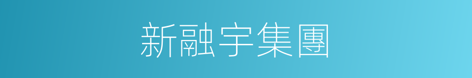 新融宇集團的同義詞