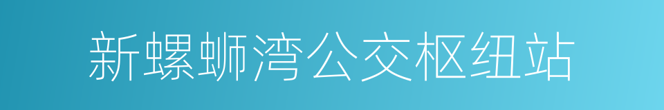 新螺蛳湾公交枢纽站的同义词