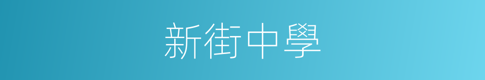 新街中學的同義詞