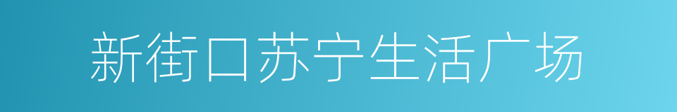 新街口苏宁生活广场的同义词