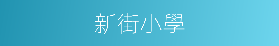 新街小學的同義詞
