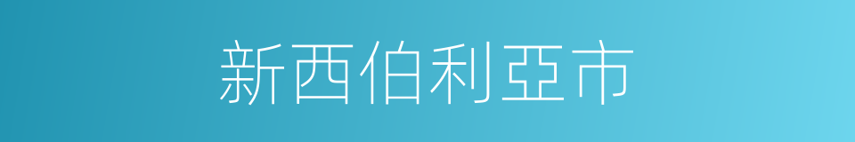 新西伯利亞市的同義詞