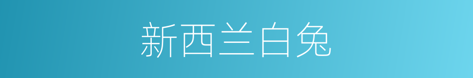 新西兰白兔的同义词