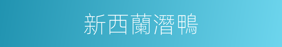新西蘭潛鴨的同義詞