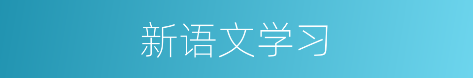 新语文学习的同义词