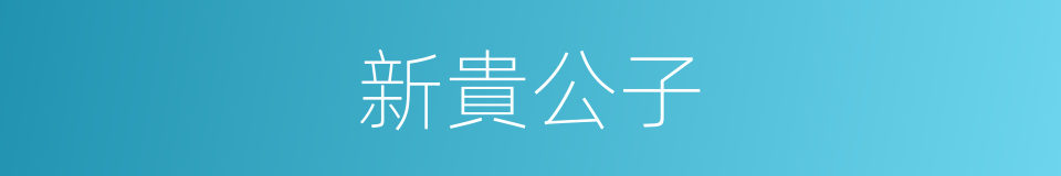 新貴公子的同義詞