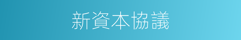 新資本協議的同義詞