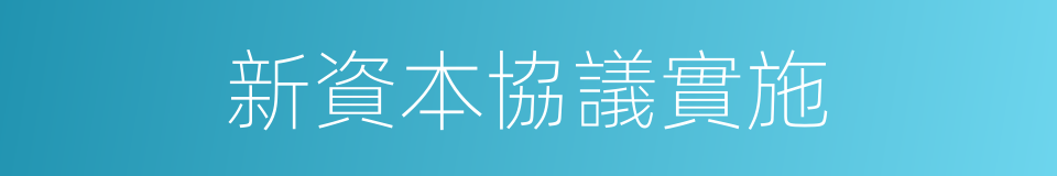 新資本協議實施的同義詞