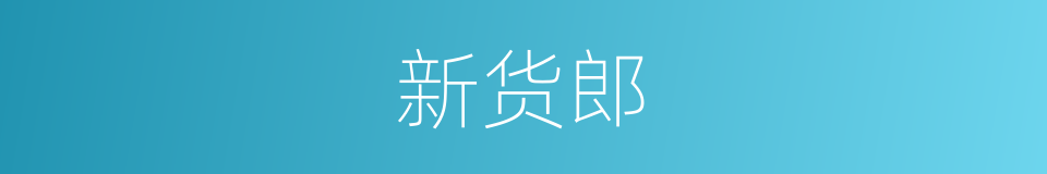 新货郎的同义词
