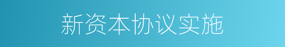 新资本协议实施的同义词