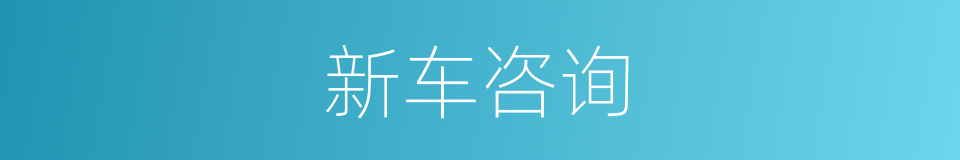 新车咨询的同义词