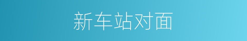 新车站对面的同义词