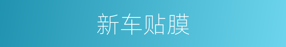 新车贴膜的同义词