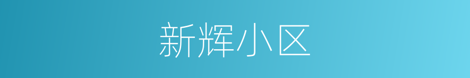 新辉小区的同义词