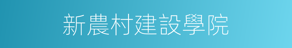 新農村建設學院的同義詞