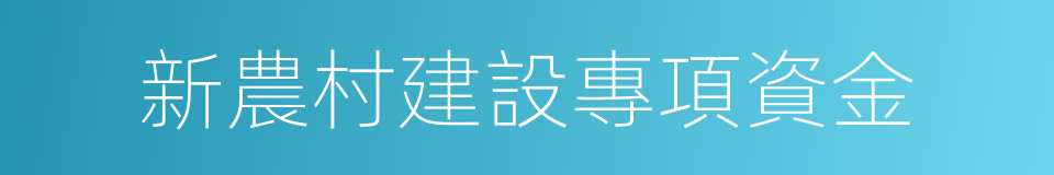 新農村建設專項資金的同義詞