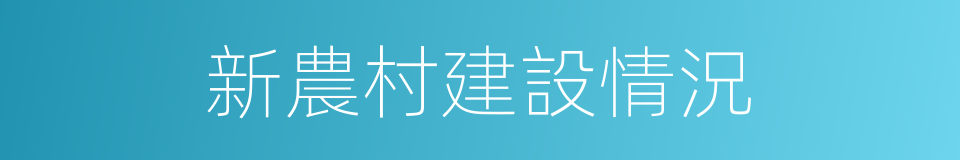 新農村建設情況的同義詞